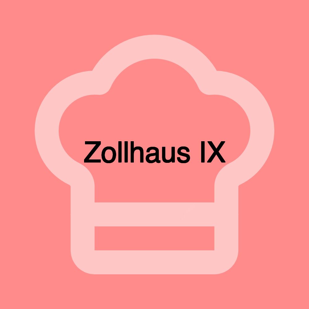 Zollhaus IX