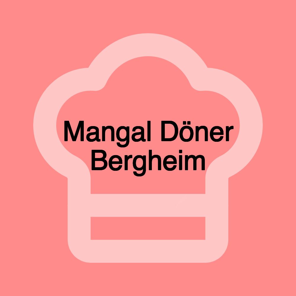 Mangal Döner Bergheim