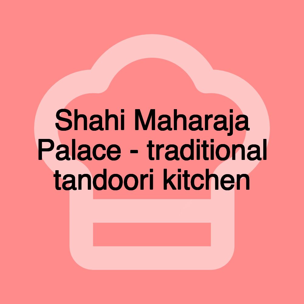 Shahi Maharaja Palace - traditional tandoori kitchen