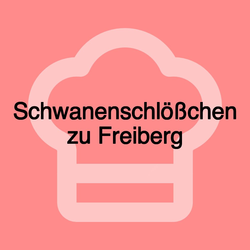 Schwanenschlößchen zu Freiberg