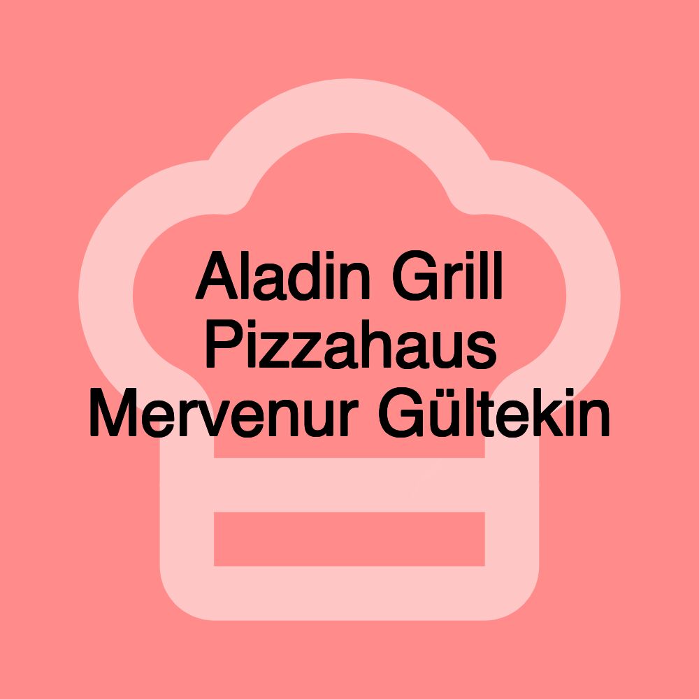 Aladin Grill Pizzahaus Mervenur Gültekin