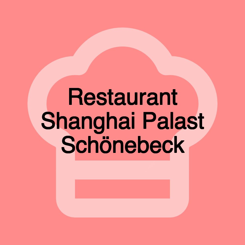 Restaurant Shanghai Palast Schönebeck