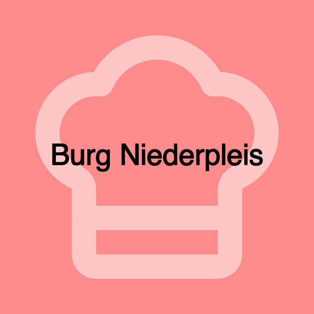 Burg Niederpleis