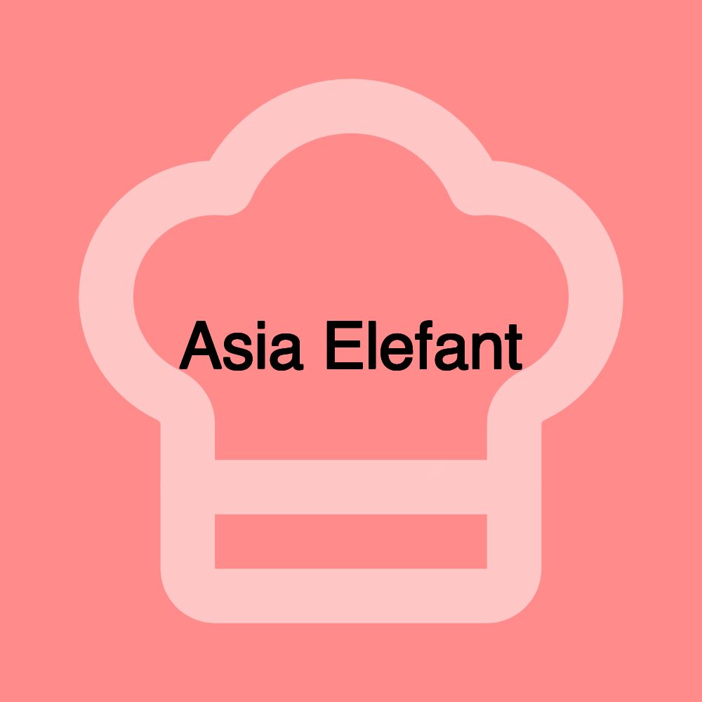 Asia Elefant